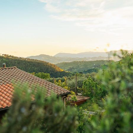 Agriturismo La Burlanda Фоздиново Экстерьер фото